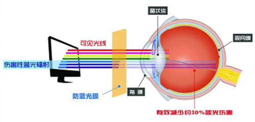 91视频污版APP最新科技成果 黄色污污的91视频在线看成护眼利器